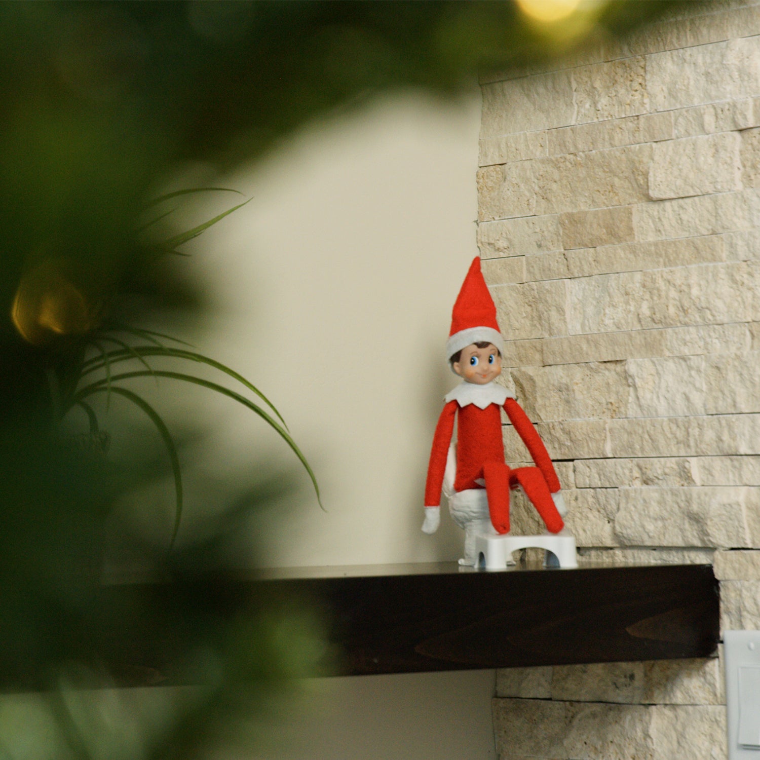 Elf